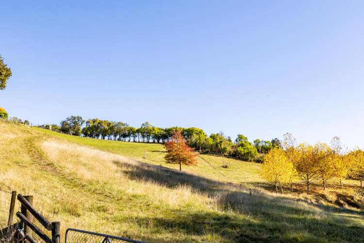 Lot 2, 95 Poraiti Road_2