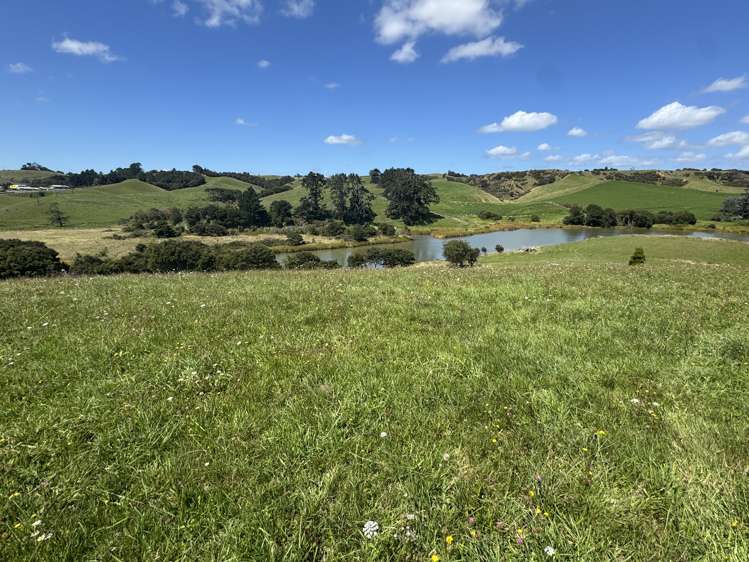 4435 State Highway 31, Kawhia Road Oparau_13