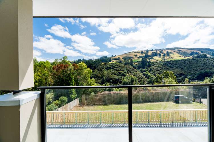 540 North Road Normanby_18