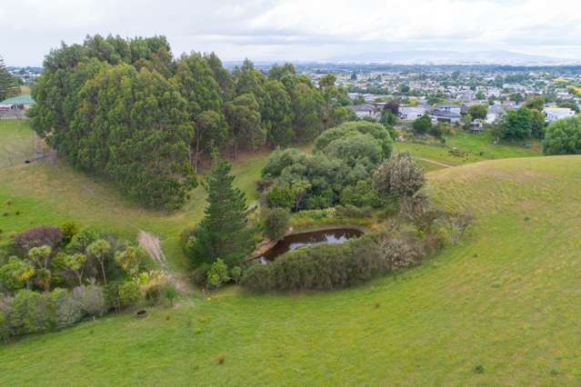 22 Halcombe Road Feilding_3