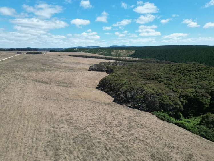 Toko Mouth Road Toko Mouth_17