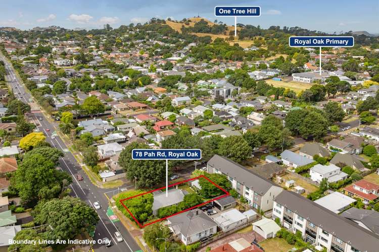 78 Pah Road Royal Oak_18