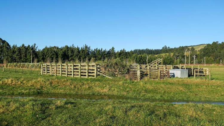 1972 State Highway 63 Wairau Valley_8