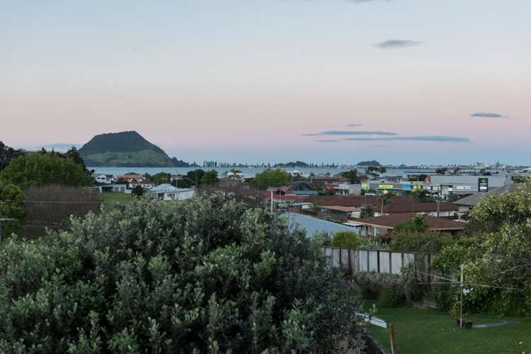 14b Rushton Avenue Otumoetai_9