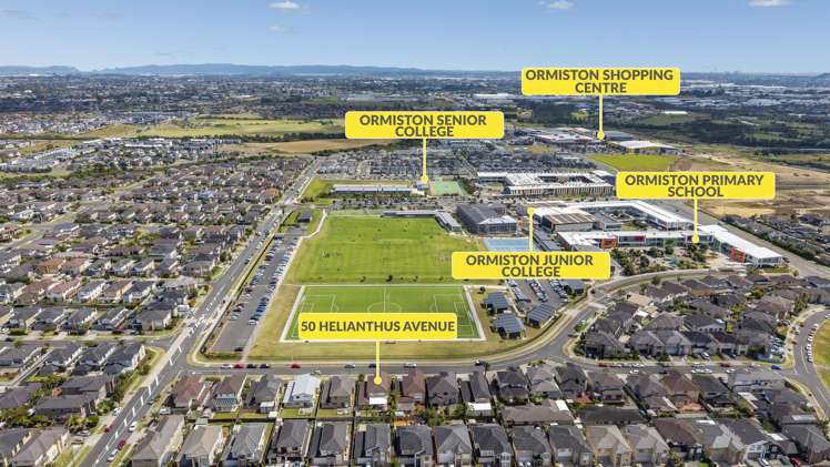 50 Helianthus Avenue Flat Bush_28