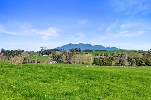 Stage 1 State Highway 23 Raglan_4