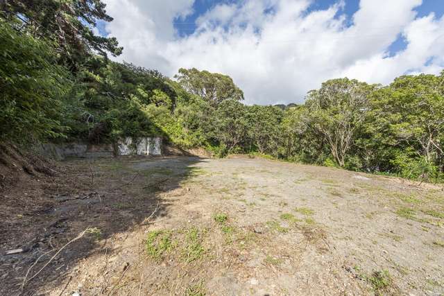 1C Holloway Road Aro Valley_4