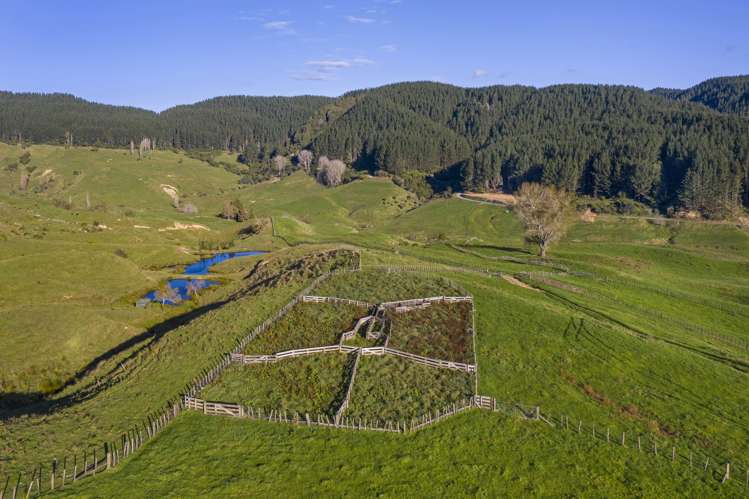 3099 State Highway 4 Te Kuiti_14