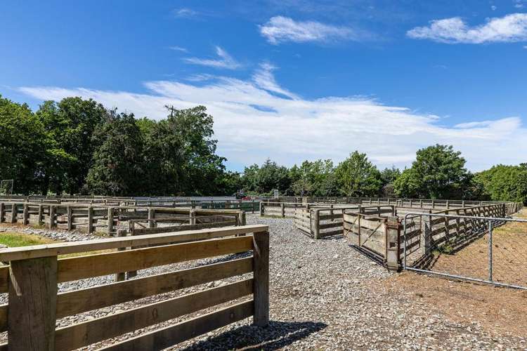 369 Ruapuna School Road Ashburton_19