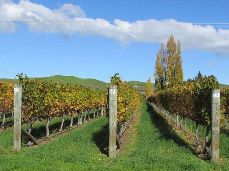 1928 Maraekakaho Road Central Hawkes Bay Coastal_8