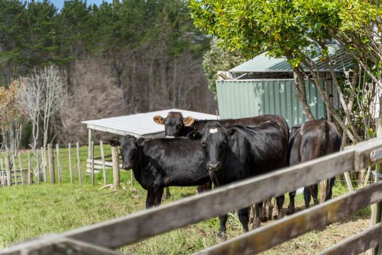 2092A Kaipara Coast Highway Makarau_19