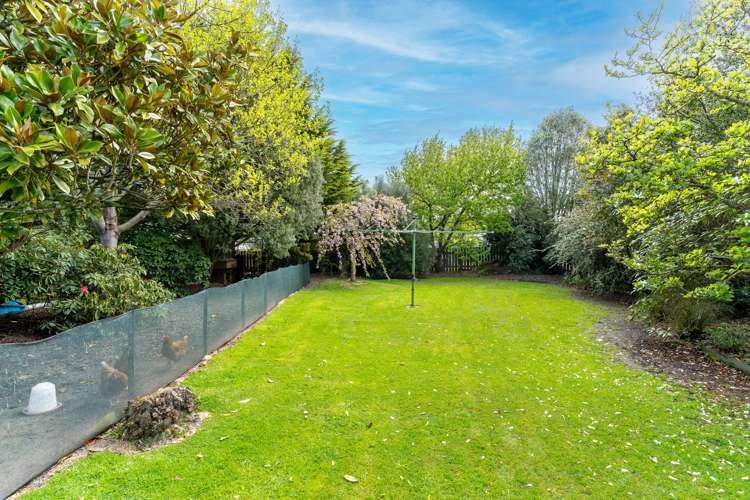 26 Johnson Street Milton_3