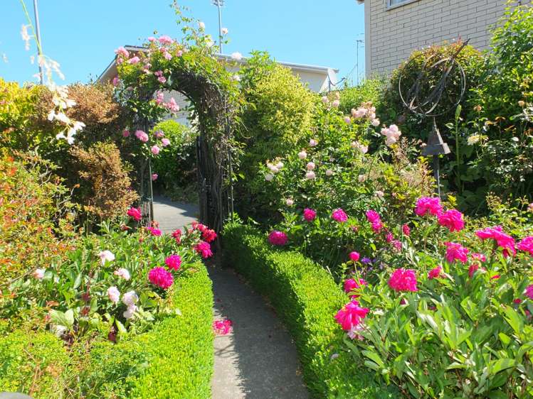 3/343 Church Street West End_4