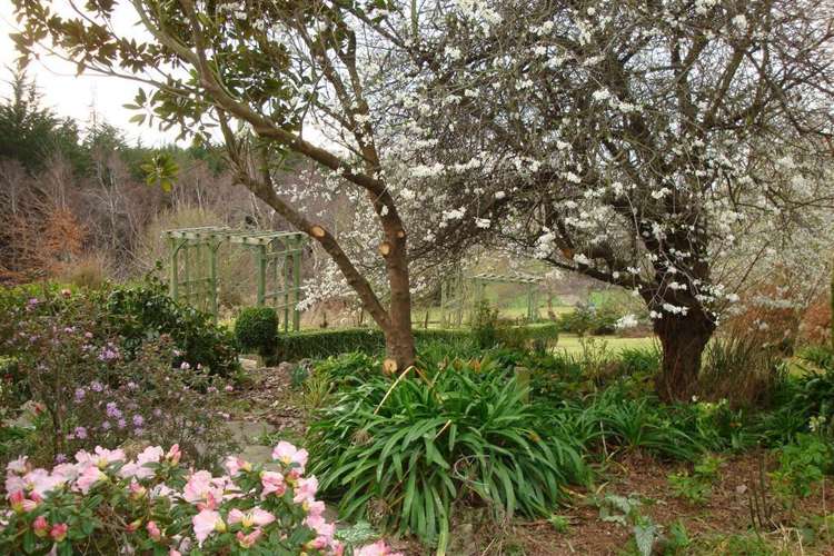 31 Craigie Road Pareora_19