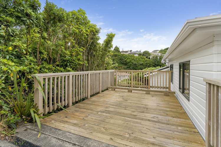 132a Broderick Road Johnsonville_15
