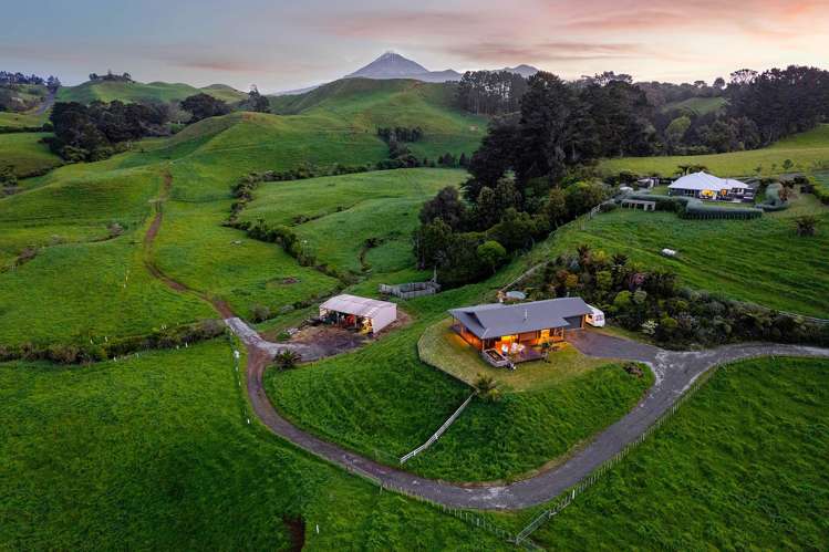 165 Sealy Road Omata_1