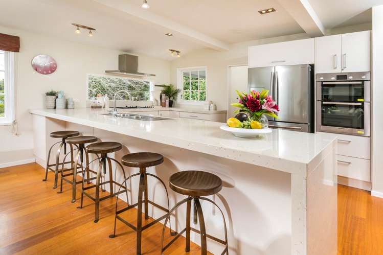 228 Lonely Track Road Dairy Flat_6