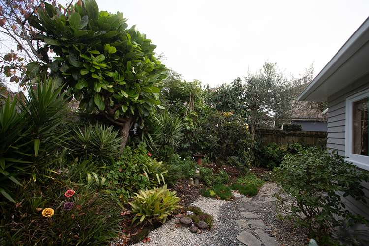 36c Morrin Street Ellerslie_9