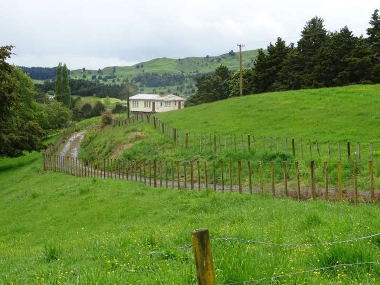 24 Hapa Road Kakahi_17