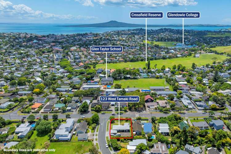 123 West Tamaki Road Glen Innes_5