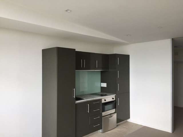 4g/80 Richmond Road Grey Lynn_3