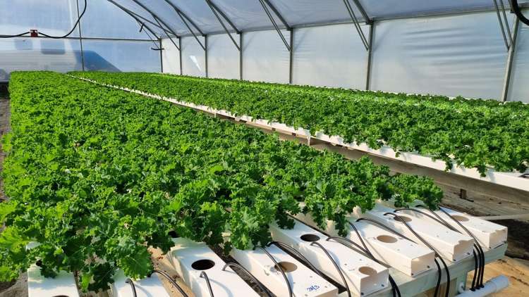 116 Wingatui Road Mosgiel_9