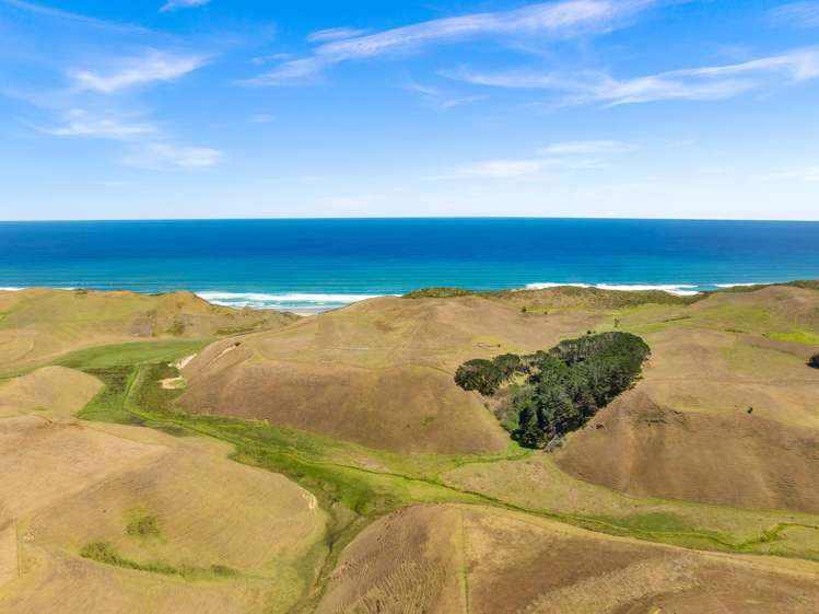 1415 Babylon Coast Road Dargaville_17