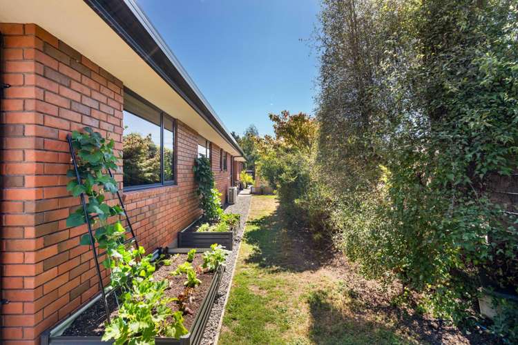 43 Anglesea Street Renwick_35