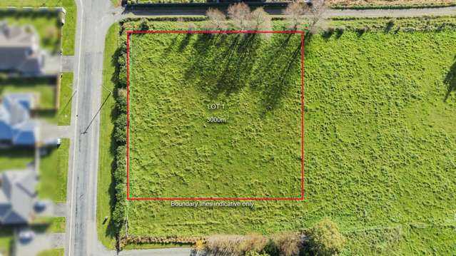 84 Manse Road Pleasant Point_4