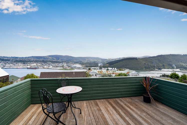 207 Larnach Road Waverley_9