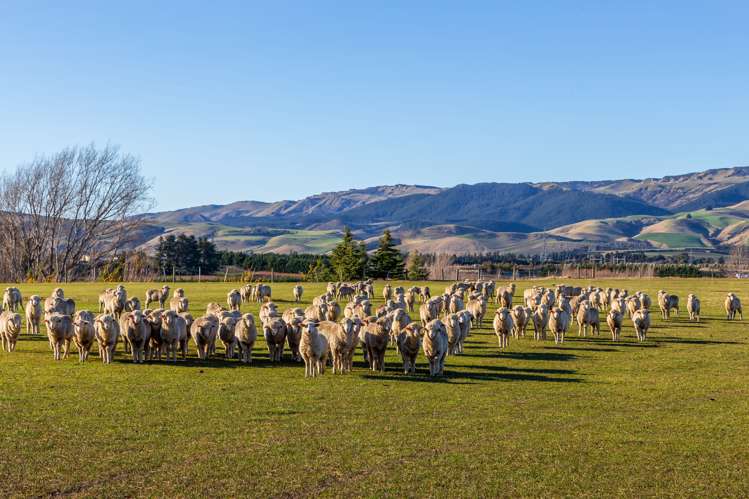 380 Waipara Flat Road Waipara_7