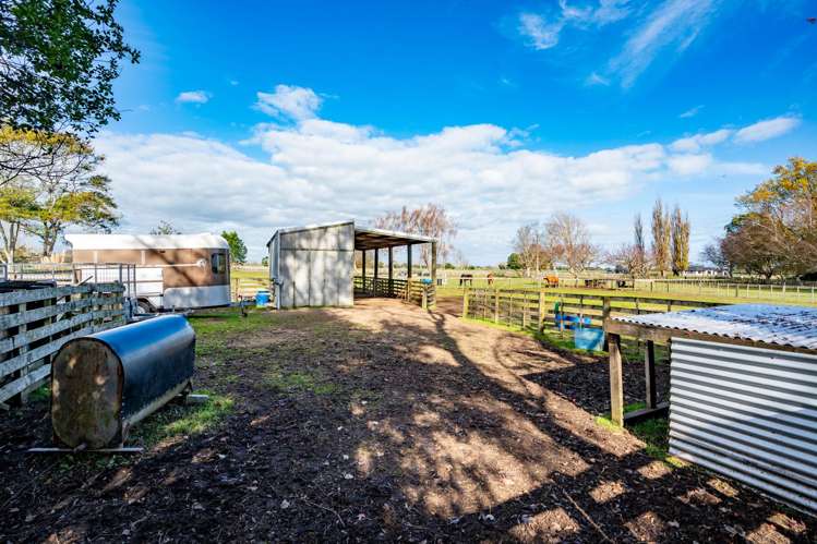 293 Woodlands Road Gordonton_26