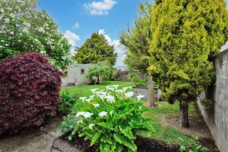 17 Rowan Street Hargest_18