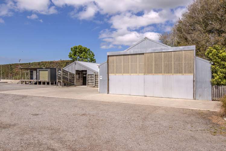 56 Harmans Road Leeston_14