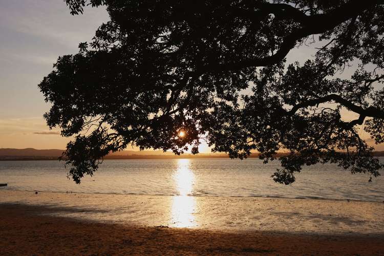 16 Joan Street Point Chevalier_6