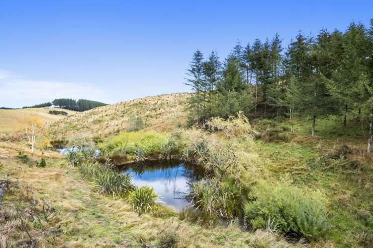 11 Parlane Road Milton_17