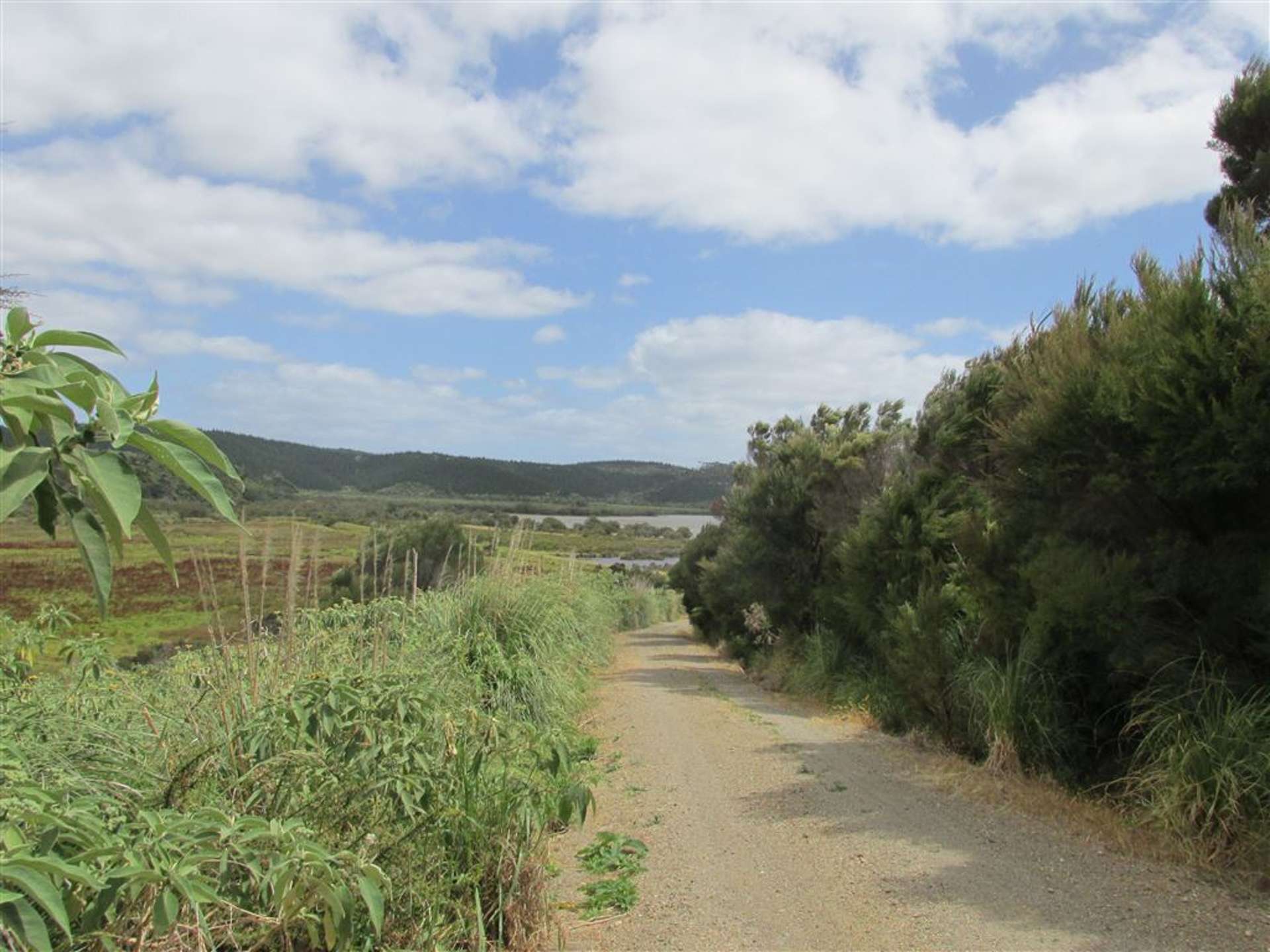 93 Te Kowhai Point Road Kerikeri_0