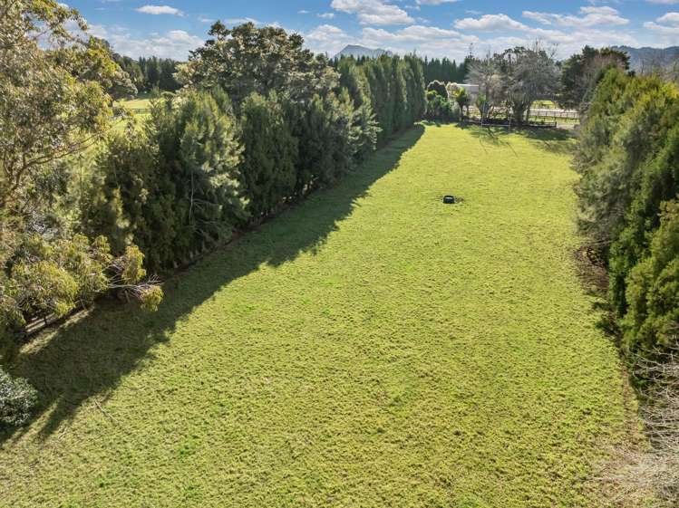521 State Highway 1 Kauri_6