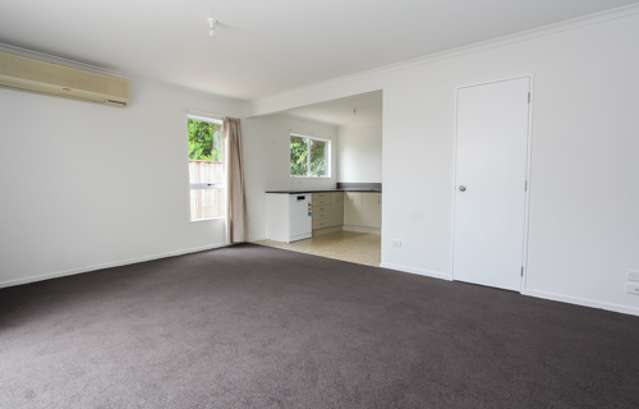 164c Old Farm Road Hamilton East_3