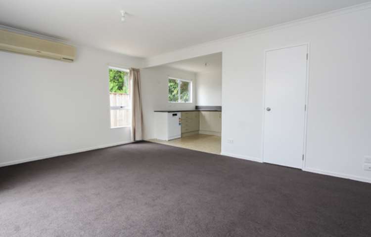 164c Old Farm Road Hamilton East_3