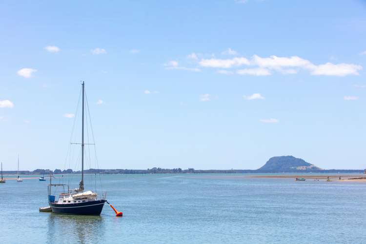 248 Plummers Point Road Whakamarama_19