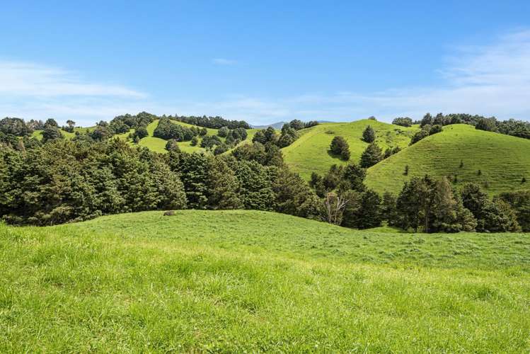 Coxhead Road Parakao_2