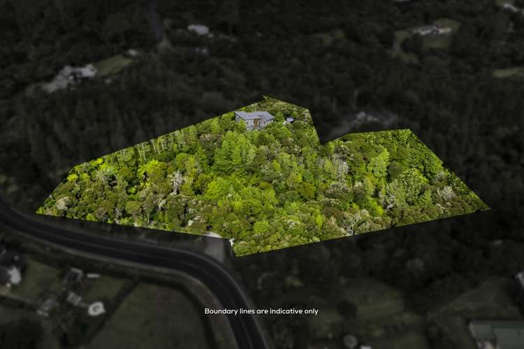 339 Ridge Road Paremoremo_33