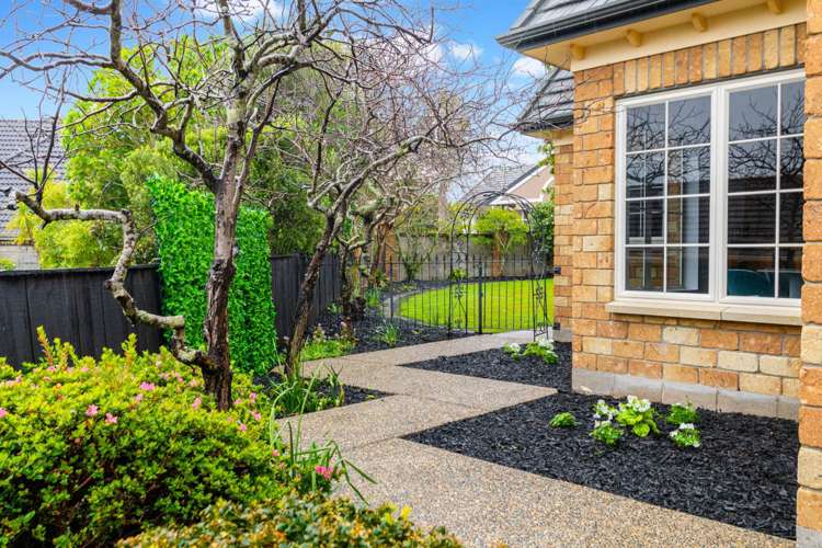 11 San Jose Rise Shamrock Park_13