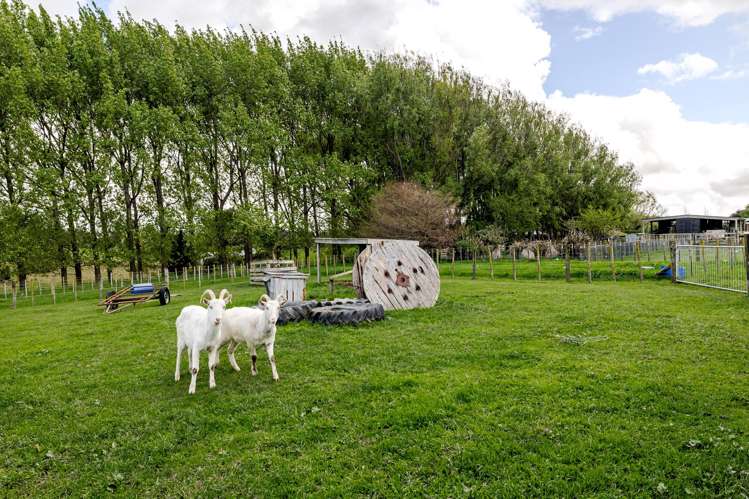 235D Watershed Road Hiwinui_13