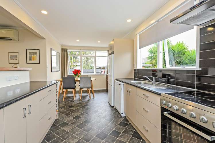 21a Elliott Crescent Havelock North_11