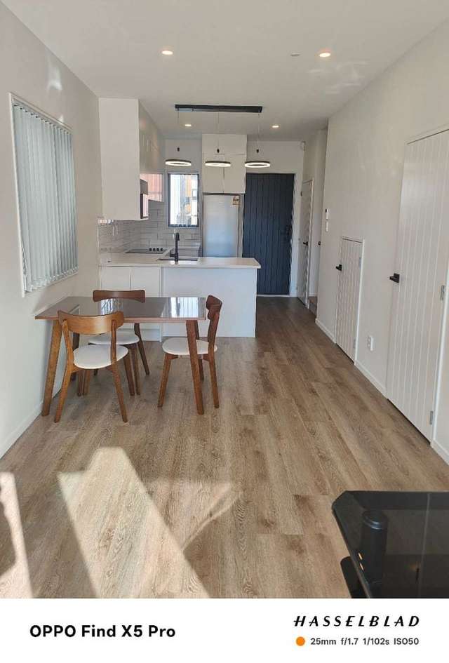 31 Kiato Lane Flat Bush_4