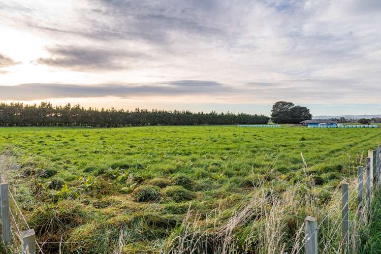 64b Thomas Road Carterton_6