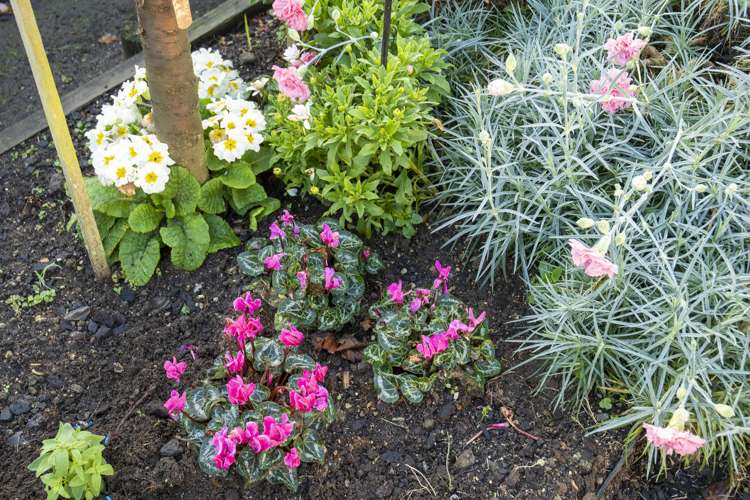 24 Annandale Drive Pyes Pa_23