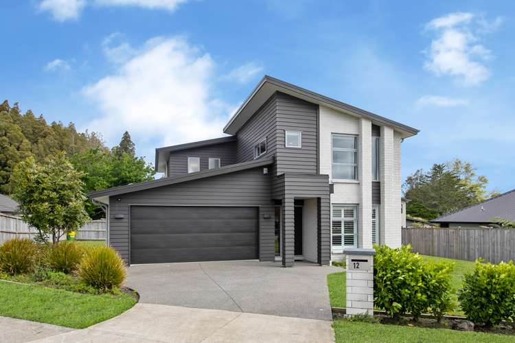 12 Lisle Farm Drive Pukekohe_0